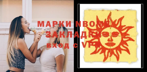 гидра Елизово