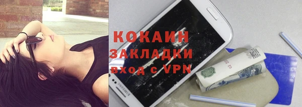 гидра Елизово