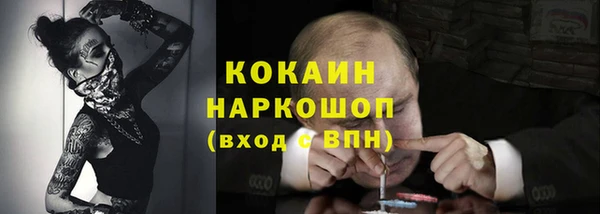 гидра Елизово