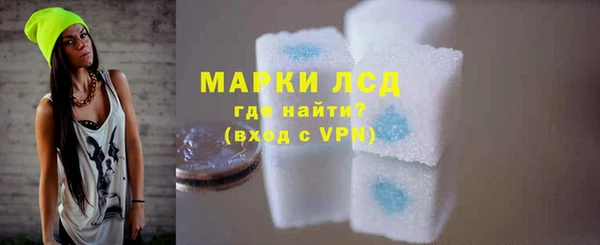гидра Елизово