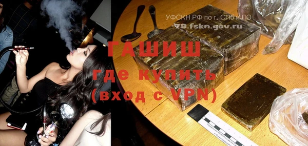 гидра Елизово