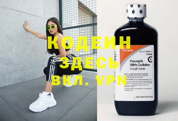 гидра Елизово