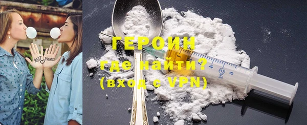 гидра Елизово