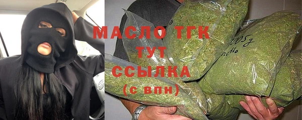 гидра Елизово
