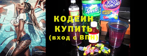 гидра Елизово